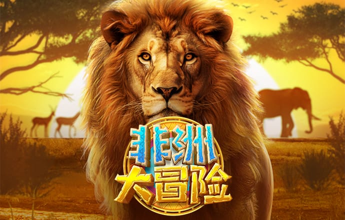 火博体育官方网站入口